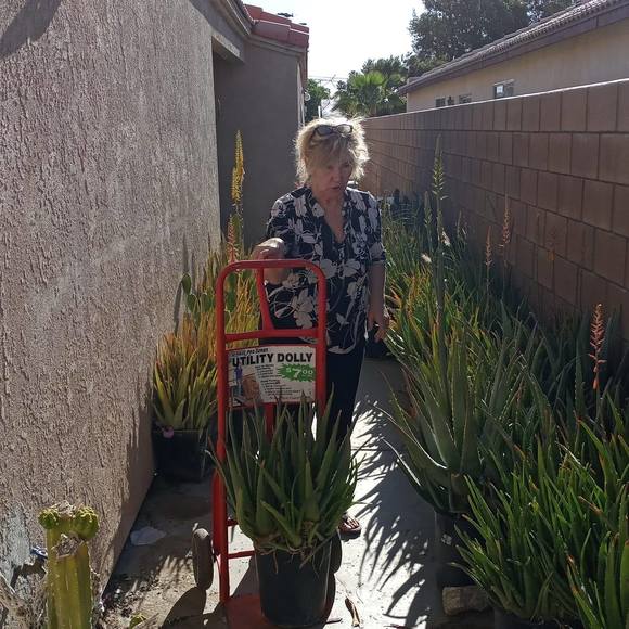 Meet your Posher, Marie - Picture 1 of 1